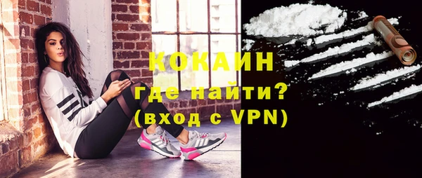 МДПВ Гусев