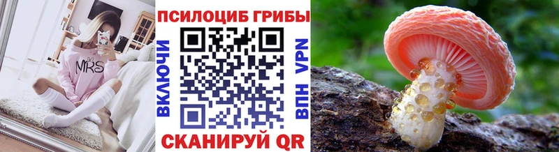 Псилоцибиновые грибы мицелий где продают наркотики kraken Острогожск
