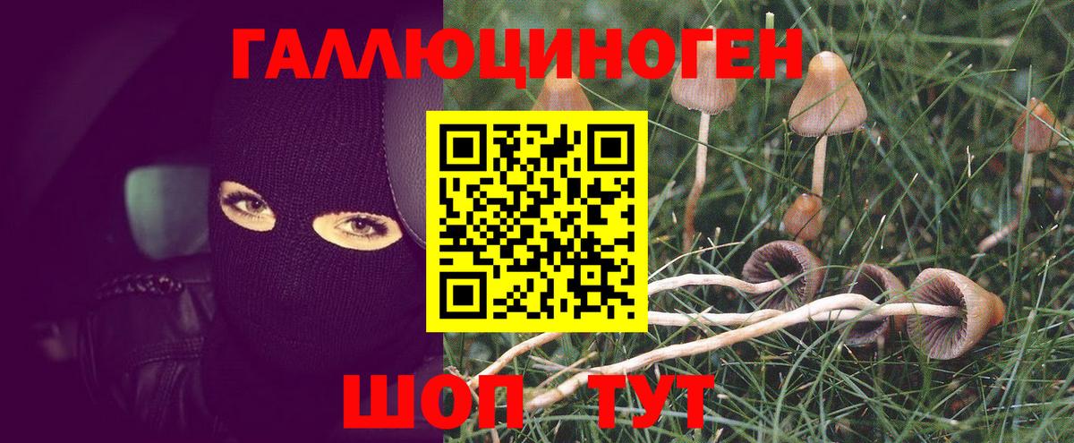 Псилоцибиновые грибы мухоморы  Псилоцибиновые грибы Magic Shrooms  Острогожск 